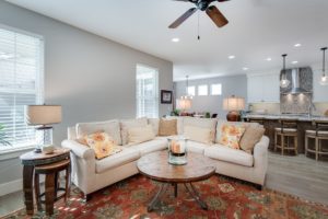 Living room and kitchen of house